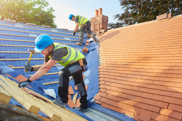 Best Roof Maintenance and Cleaning  in East Brady, PA